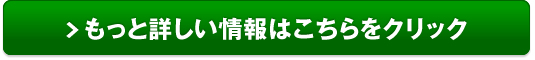 日産キューブ販売サイトへ